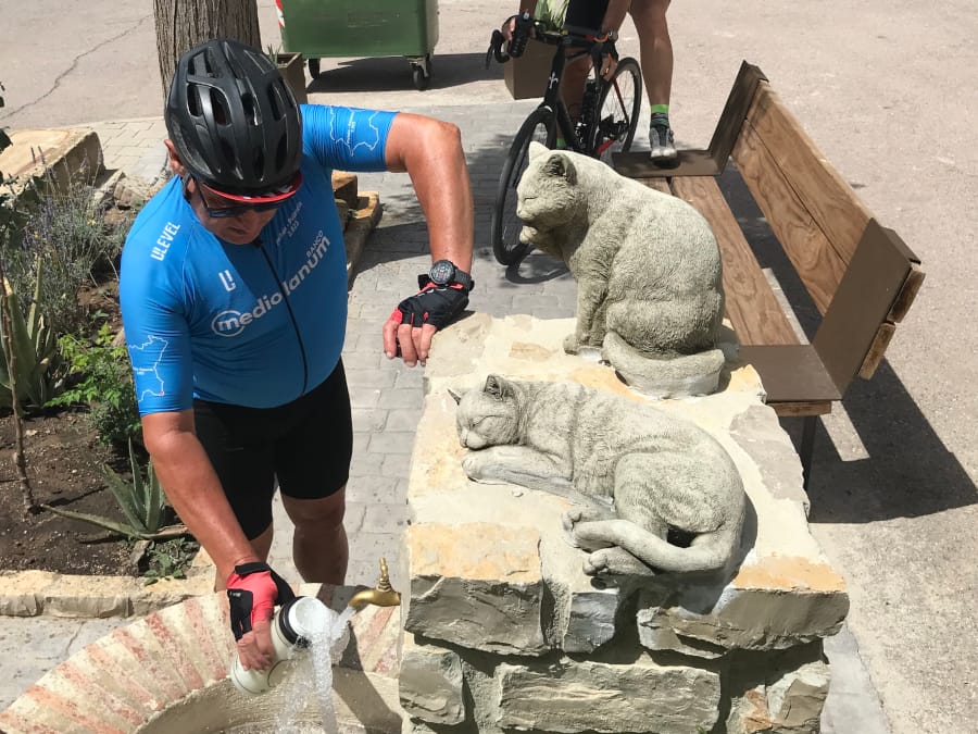 Two stone cats perch atop a water fountain as a cyclist in blue fills up his water bottle.