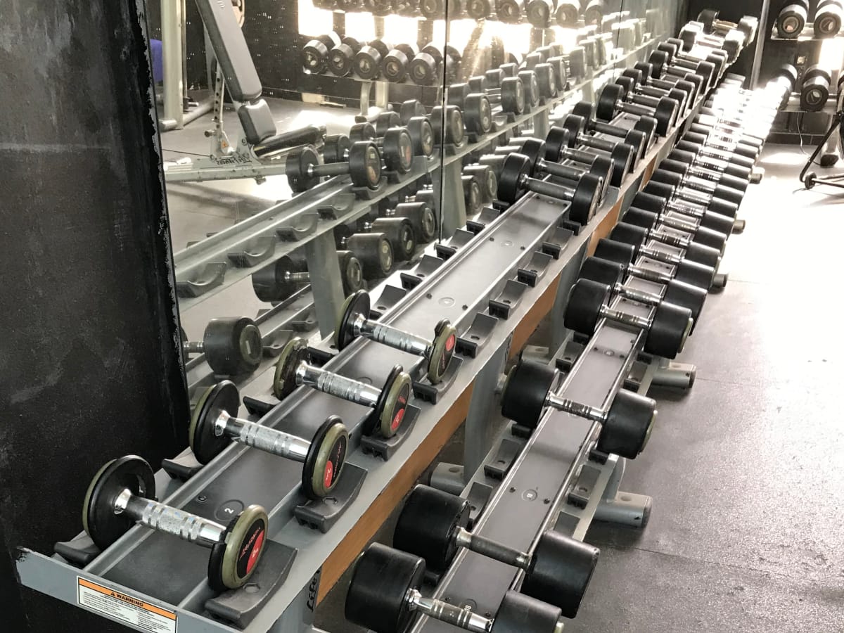 Hand wieghts lined up in a row on a rack.